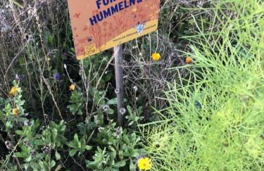 MP 1 Ankerplatz - Foto 12