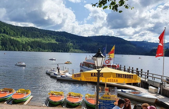 Landhuis Appartement Feldberg Uitzicht - Foto 29