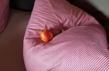 Holzmichel - Foto 10