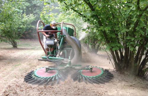 Sangrato 1883 - Foto 50