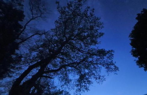 Swn Y Nant Lodge with hot tub Brecon - Foto 24