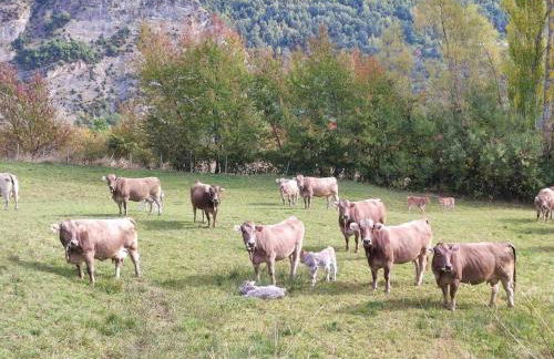 El Refugio de Tena - tucasaenlospirineos - Foto 29