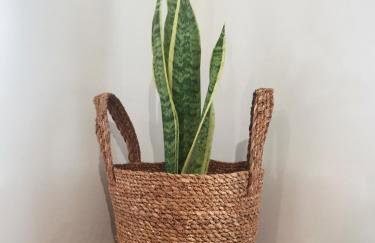 Casa el Concepto - Foto 23