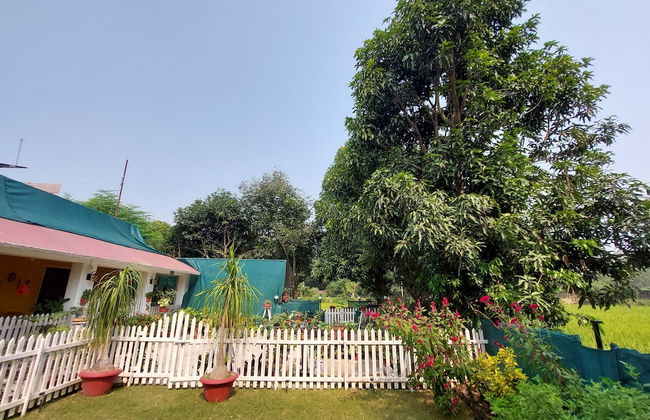 Koko's Farm - Foto 24