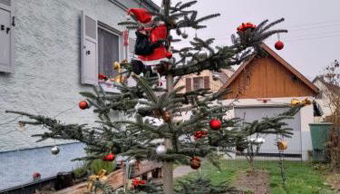 Gîte les chiwawas d'Alsace - Foto 5