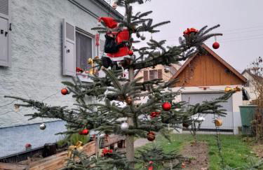 Gîte les chiwawas d'Alsace - Foto 5