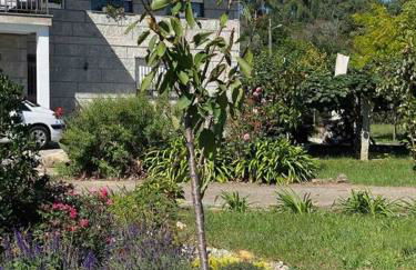 Villa Mercedes - Photo 16