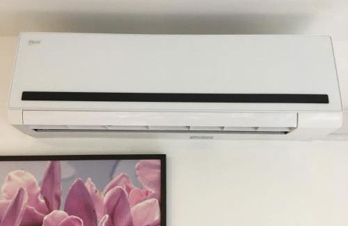 Sahara Falcon - Photo 96