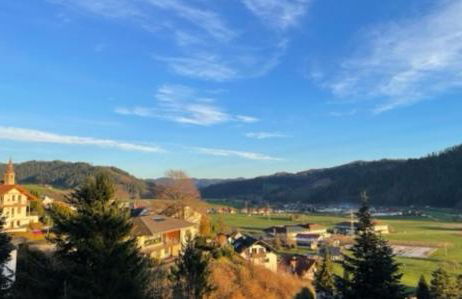 Graceland In the Black Forest - Foto 104