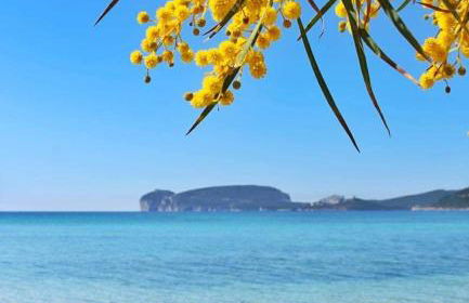 CASA VACANZE CALIK ALGHERO - Foto 1