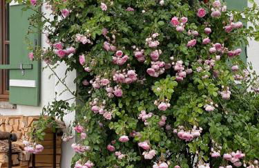 Ferienwohnung Mühlenweg - Foto 6