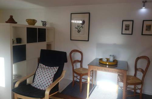 Studio Buena Vista avec terrasse sur jardin - Foto 9