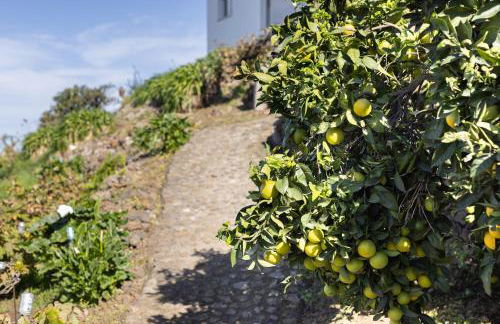 EK Drago Finca el Milagro - Foto 33