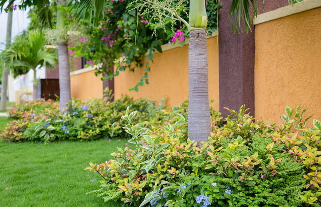 Centrally Located Guest Apartments - Foto 22