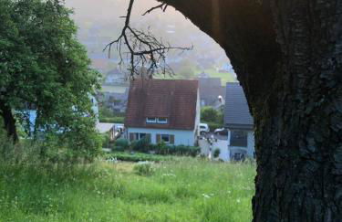 Dalhausen, Am Schönste Aussicht - Foto 18