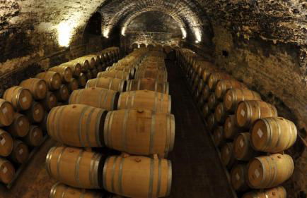 Pla del Castell II - Foto 15