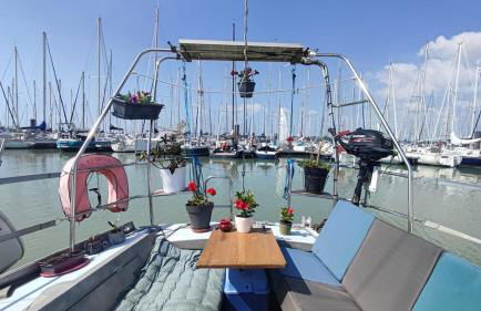 Sailboat land and sea, vegetated - Foto 13
