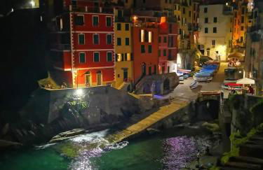 Pepita di Rio - Foto 23