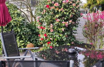 Moderne Doppelhaushälfte mit Süd-West-Terrasse - Foto 24