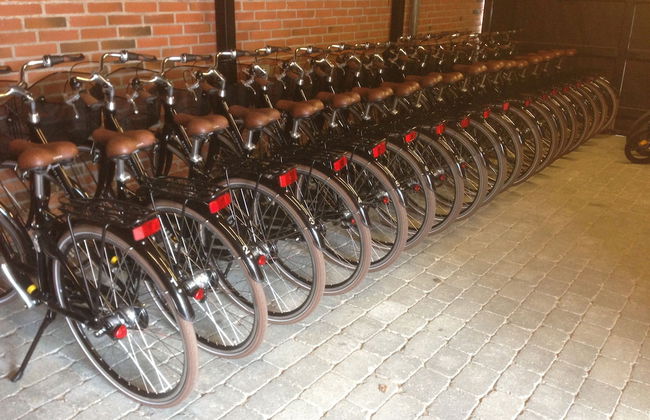 Ribe Byferie Resort - Foto 43