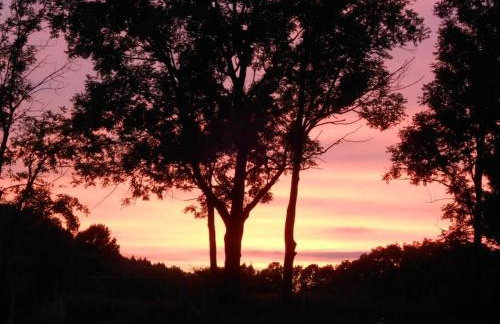 Halinówka - Twoje Miejsce w Górach Sowich - Foto 37