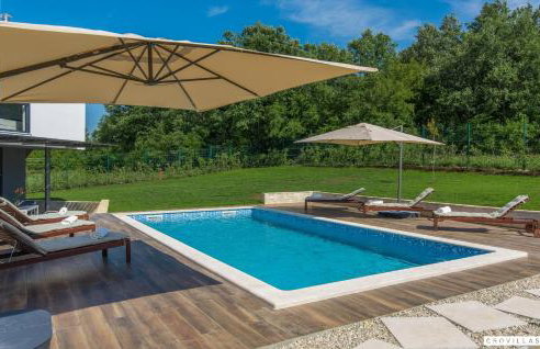 Complex Teca - Foto 3