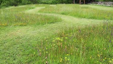 Villa Vicenca - Foto 5, Garden, Garden view