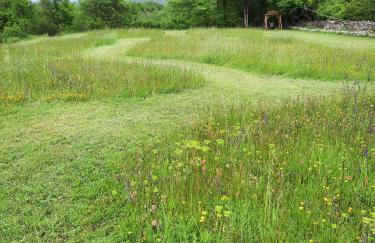 Villa Vicenca - Foto 5