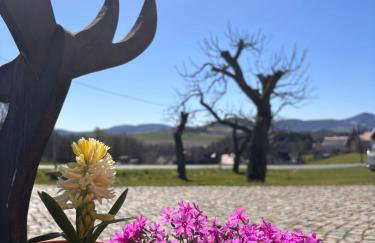 -am Fuß zum Zittauer Gebirge- - Foto 5