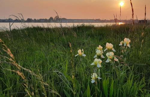 FEWO Leuchtturmidyll Harriersand - Foto 25