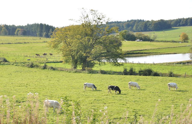 Villa With Hottub in Calm Area - Foto 40