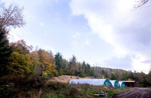 Beautiful Airstream Glamping Site for Romantic Weekends Away in North Carolina - Photo 18