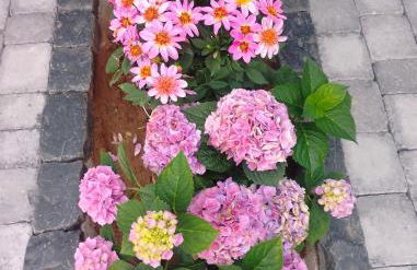 Ferienwohnung Omas Rhön-Garten - Photo 8