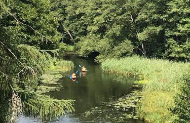 Modrzewiowy Dworek - Foto 15