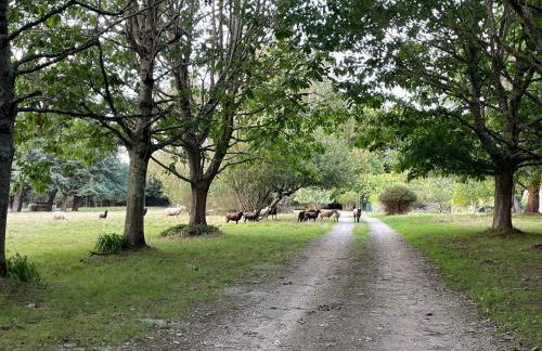Les Hauts de Locmiquel apartment with private heated pool - Photo 48