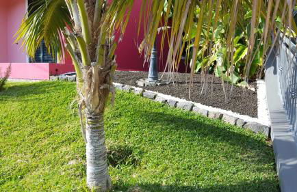 Pink House - Photo 32