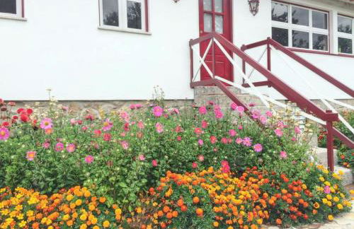 Family House with Mountain View in Vouzela - Foto 26
