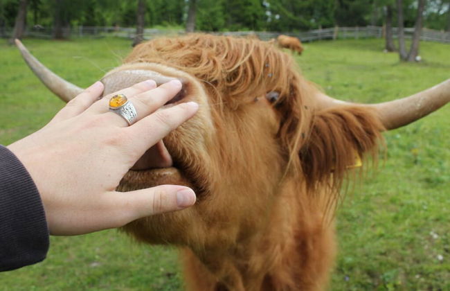 Weiss Comfortable Holiday Residence - Foto 15