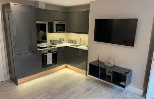 Swan House - 5 x Executive Apartments - Central Bawtry - Foto 25