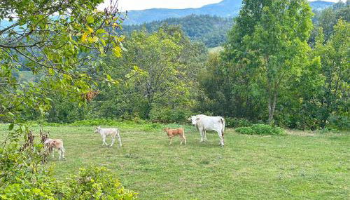 Da Santina 23 - Photo 5