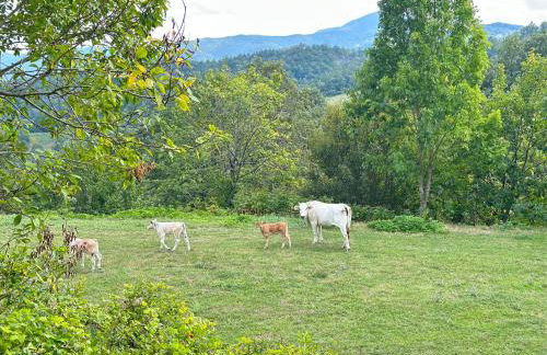 Da Santina 23 - Photo 5