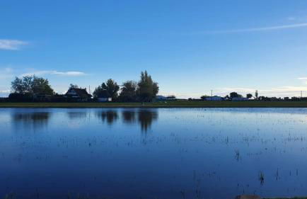 Can Carles - Delta del Ebro - Foto 48