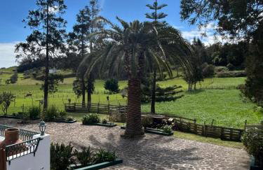 Casa da VíVí - Foto 54