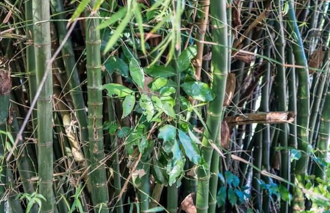 Nianna Eden - Photo 78