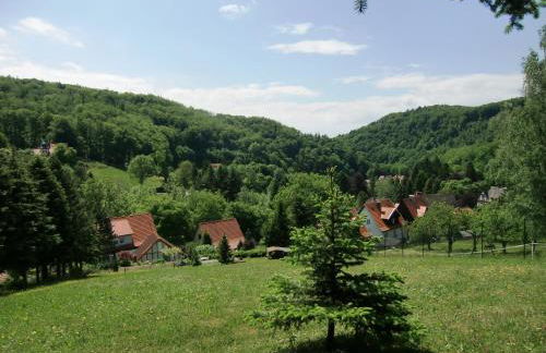 Ferienhaus Haus am Wald - Foto 41