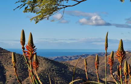 Casa El Mirador - Foto 9