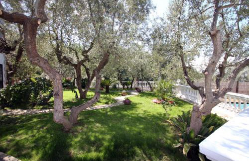 Tenuta Camporosso - Photo 11
