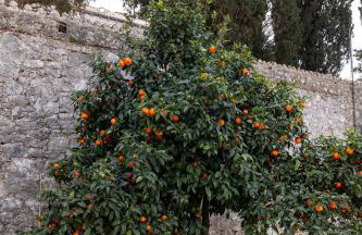 Apartment Luna i Lucky - Foto 71