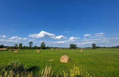 Woodland - dom z sauną i balią - Foto 36