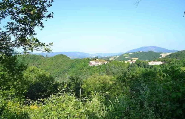 Colleverde Country House Beauty&Wellness - Foto 74